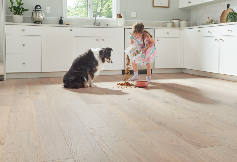 Little girl spilling dog feed on a light wood floor with a dog watching